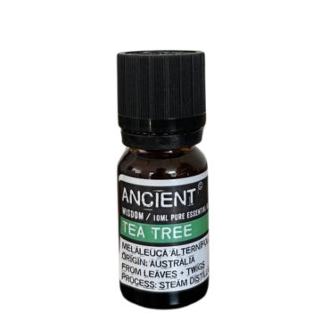 Tea tree - esenciální olej 10 ml